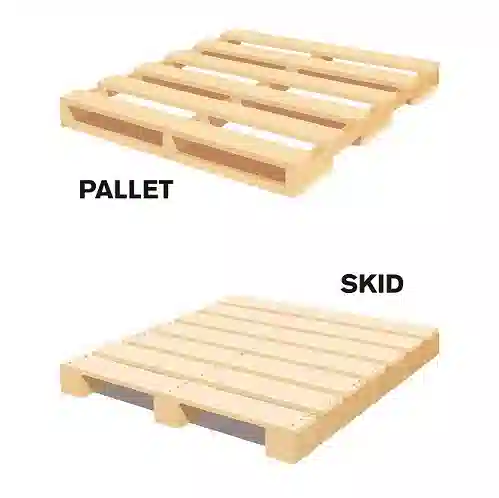 Pallet and Skid